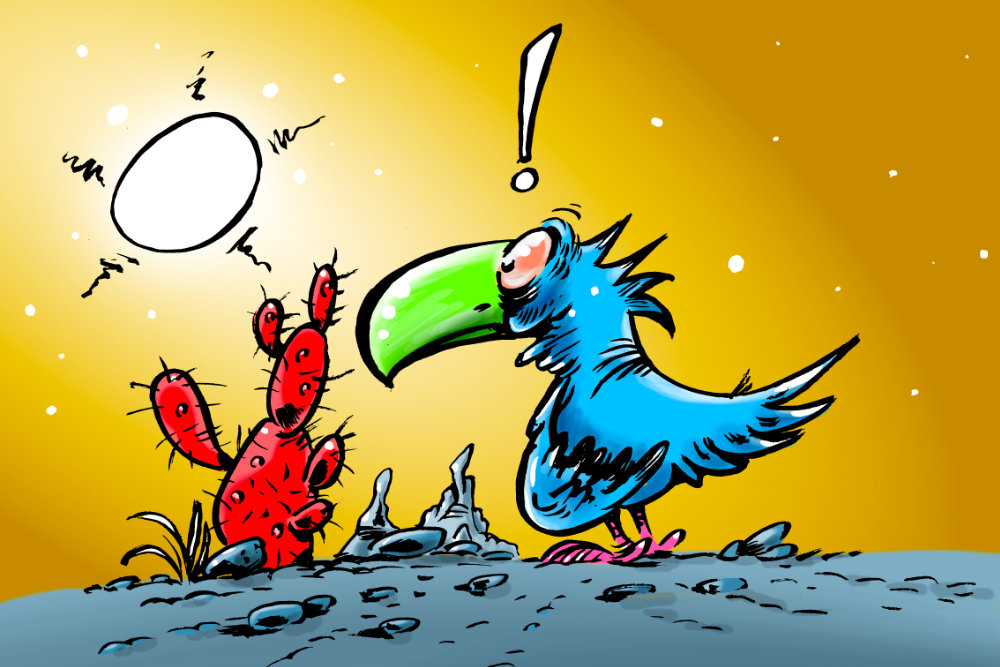 oiseau dans un paysage désolé